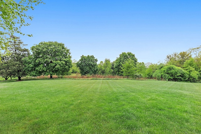 660 Plum Tree Dr, Barrington Hills, IL 60010 - view of grassy yard