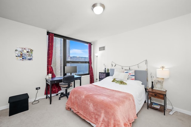 1160 S Michigan Ave Unit 1005, Chicago, IL 60605 - bedroom with carpet, baseboards, and a wall of windows