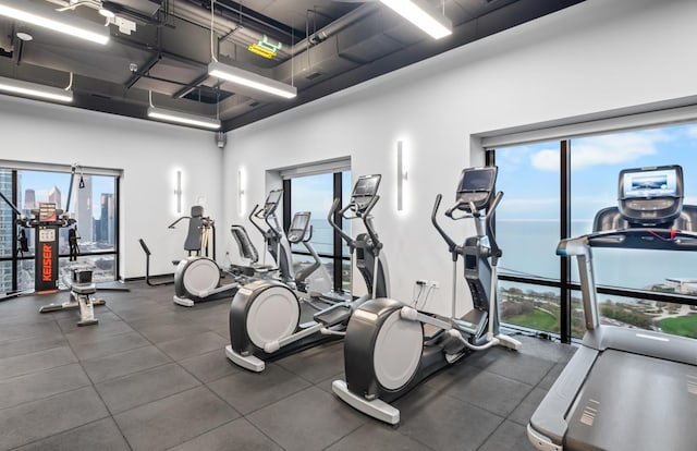1160 S Michigan Ave Unit 1005, Chicago, IL 60605 - workout area featuring a high ceiling