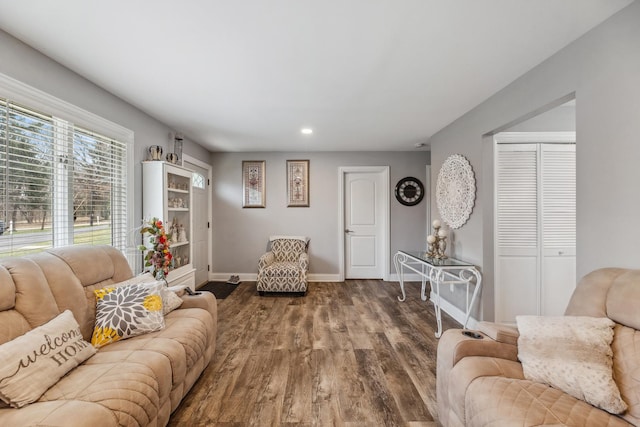 31 Bruce Ct N, Lockport, IL 60441 - living room with baseboards, wood finished floors, and recessed lighting