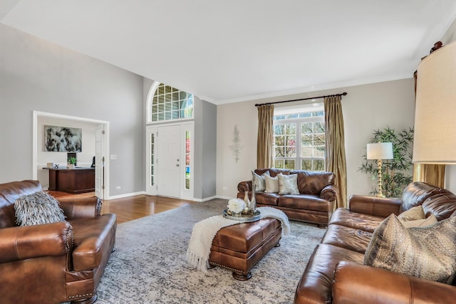living room featuring wood finished floors, baseboards, and ornamental molding
