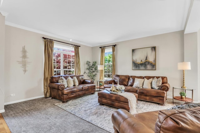 living room with baseboards and ornamental molding