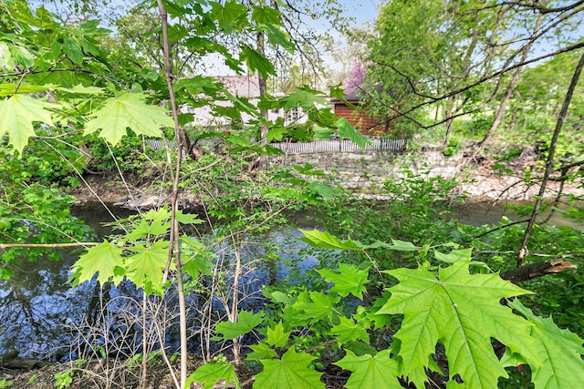 616 Kirk Ave, Elgin, IL 60120 - view of local wilderness