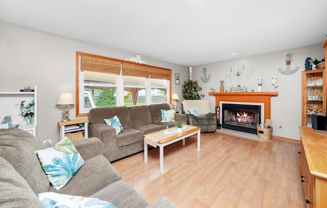 5157 Ribbon Ct, Monee, IL 60449 - living room featuring light wood-style flooring and a glass covered fireplace