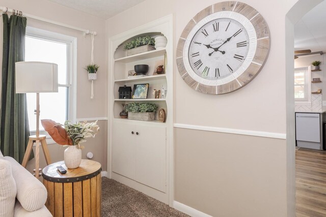 315 W Bennett St, Pontiac, IL 61764 - hall with plenty of natural light, arched walkways, built in features, and baseboards