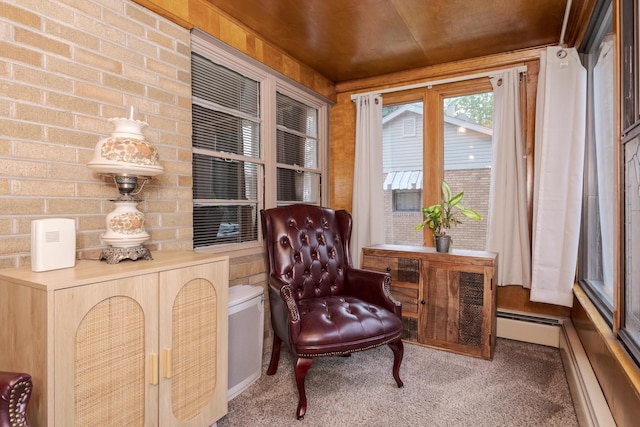 315 W Bennett St, Pontiac, IL 61764 - living area with carpet floors and baseboard heating
