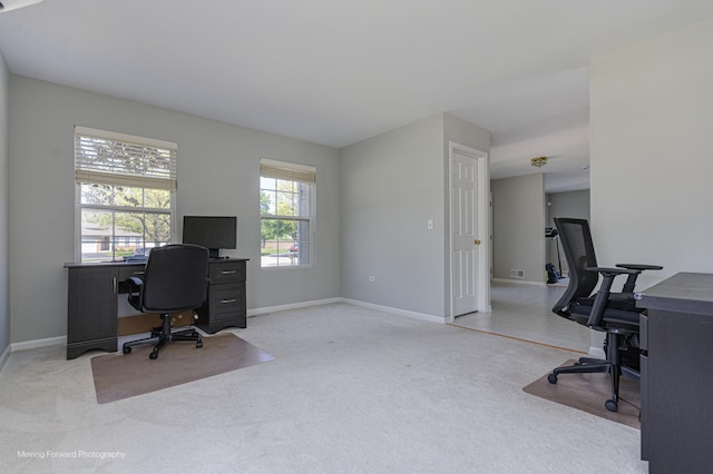 13 Caribou Ct, Bolingbrook, IL 60490 - office featuring baseboards and carpet floors
