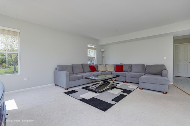 13 Caribou Ct, Bolingbrook, IL 60490 - living area featuring carpet floors and baseboards