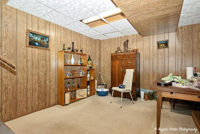 5308 Wonder Woods Dr, Wonder Lake, IL 60097 - sitting room with wood walls and carpet floors