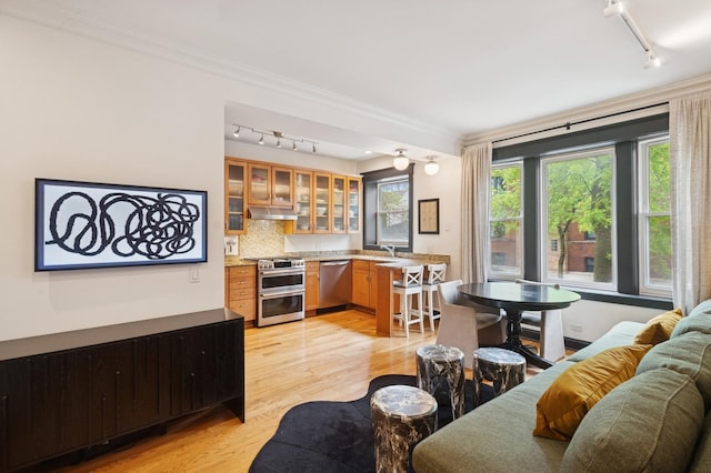 2250 W Argyle St Unit 1, Chicago, IL 60625 - living room featuring track lighting, light wood-style flooring, and crown molding