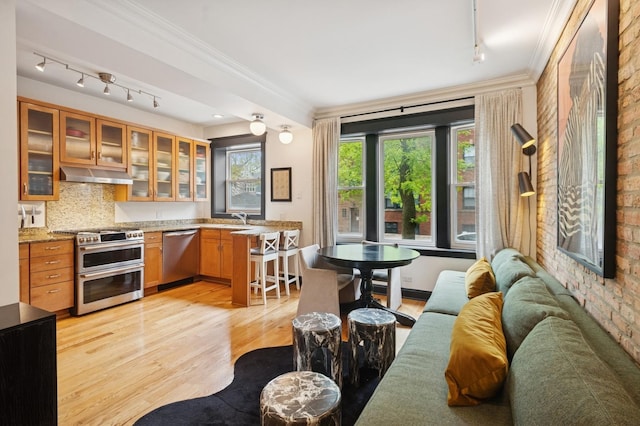 2250 W Argyle St Unit 1, Chicago, IL 60625 - kitchen with stainless steel appliances, track lighting, under cabinet range hood, open floor plan, and crown molding