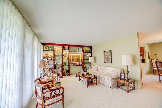 406 E Fine St, Ashkum, IL 60911 - living room with carpet floors