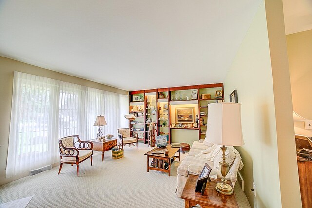406 E Fine St, Ashkum, IL 60911 - living area with carpet floors