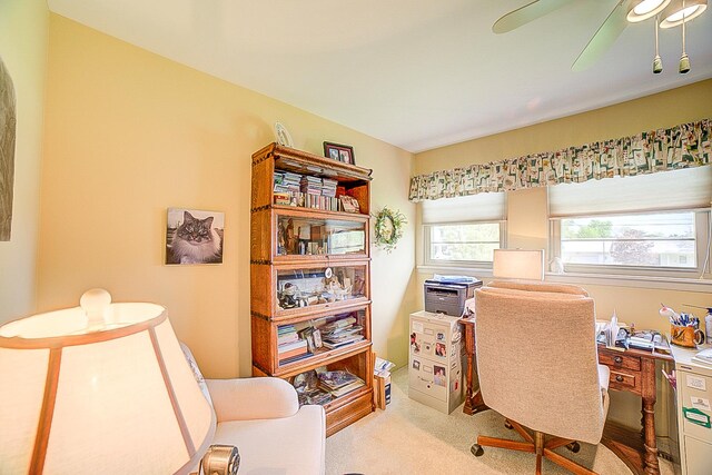 406 E Fine St, Ashkum, IL 60911 - carpeted office space featuring a ceiling fan