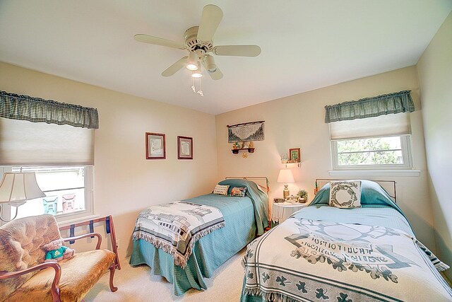 406 E Fine St, Ashkum, IL 60911 - carpeted bedroom with ceiling fan