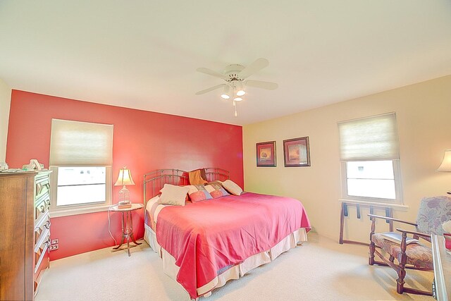 406 E Fine St, Ashkum, IL 60911 - bedroom featuring multiple windows, carpet, and a ceiling fan