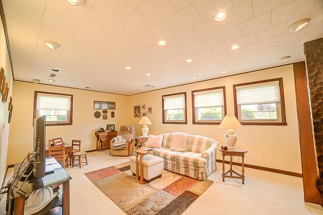 406 E Fine St, Ashkum, IL 60911 - living area featuring carpet and recessed lighting