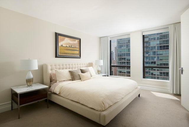 bedroom featuring carpet