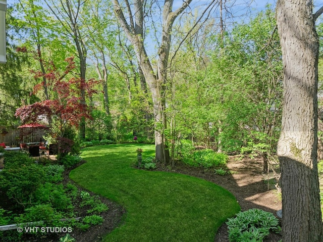 630 Juniper Rd, Glenview, IL 60025 - view of grassy yard