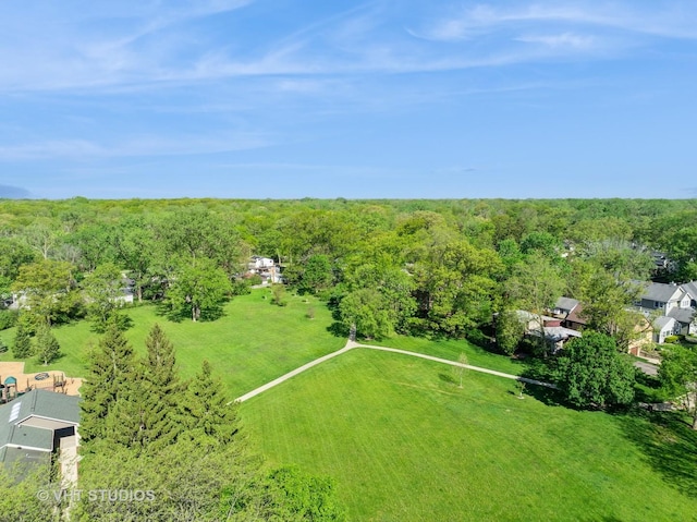630 Juniper Rd, Glenview, IL 60025 - drone / aerial view of a forest