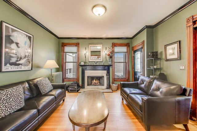 35 Keystone Ave, River Forest, IL 60305 - living room with wood finished floors, ornamental molding, radiator, and a premium fireplace