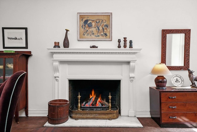 232 E Walton Pl Unit 3W, Chicago, IL 60611 - detailed view of baseboards, wood finished floors, and a warm lit fireplace