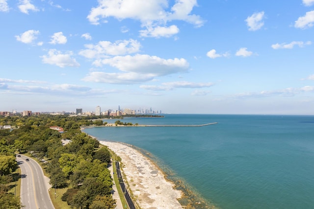 6700 S S Shore Dr Unit 19K, Chicago, IL 60649 - water view with nearby urban area