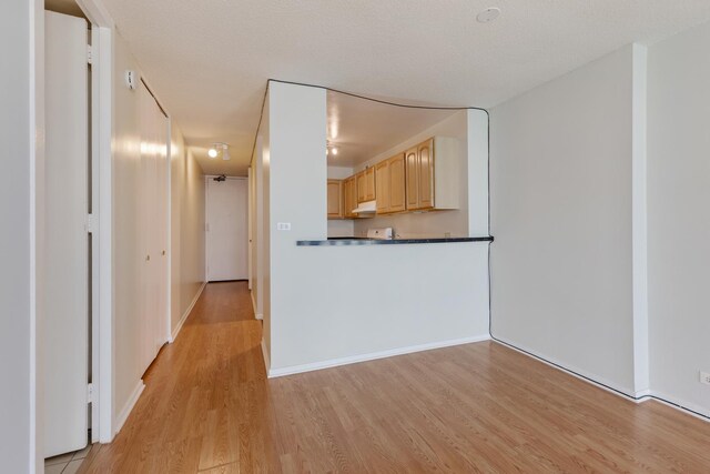 6700 S S Shore Dr Unit 19K, Chicago, IL 60649 - unfurnished living room featuring light wood-type flooring and baseboards