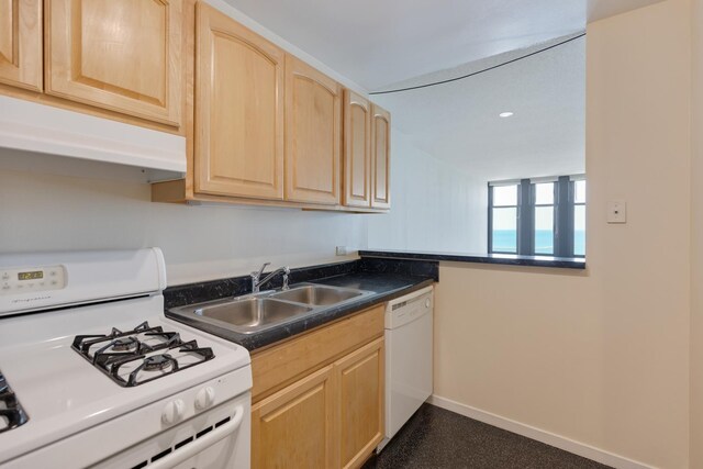 6700 S S Shore Dr Unit 19K, Chicago, IL 60649 - kitchen featuring white appliances, light brown cabinetry, a sink, under cabinet range hood, and recessed lighting