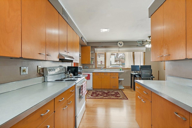 807 S Main St, Belvidere, IL 61008 - kitchen with electric stove, light wood-style floors, under cabinet range hood, a sink, and light countertops