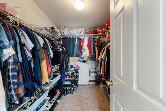 16030 Tahoe Ln, Crest Hill, IL 60403 - spacious closet with carpet floors