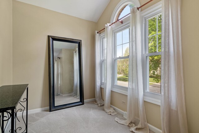 424 Dilorenzo Dr, Naperville, IL 60565 - entryway featuring lofted ceiling, carpet, and baseboards