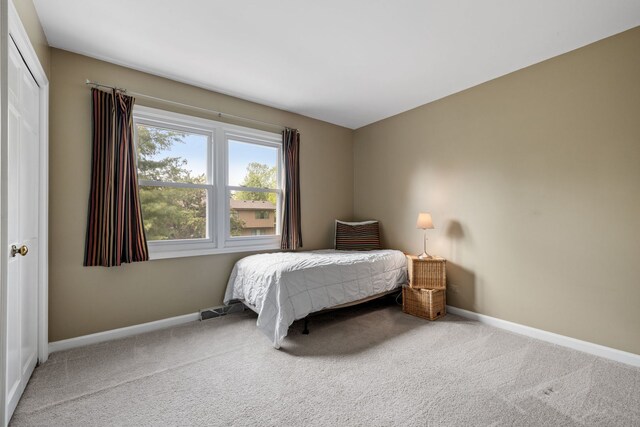 424 Dilorenzo Dr, Naperville, IL 60565 - carpeted bedroom featuring baseboards and a closet