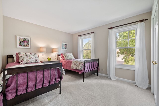 424 Dilorenzo Dr, Naperville, IL 60565 - bedroom featuring baseboards and carpet flooring