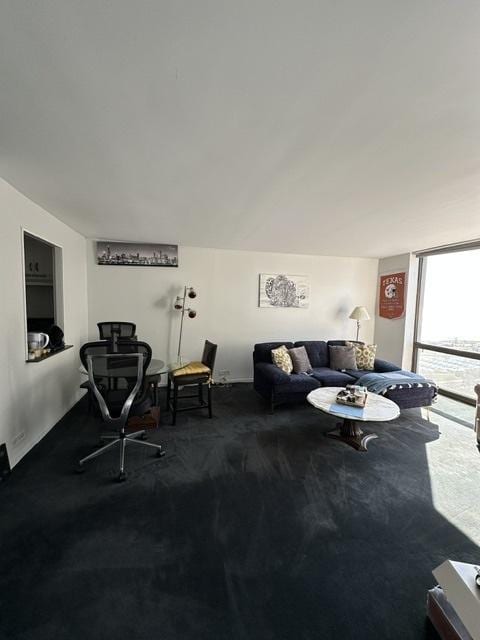 living area featuring carpet flooring and floor to ceiling windows