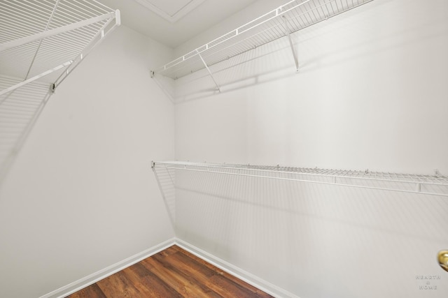walk in closet with wood finished floors