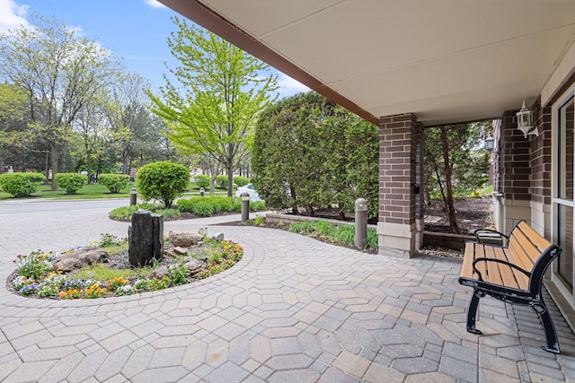 5155 Madison St Unit 204, Skokie, IL 60077 - view of patio / terrace