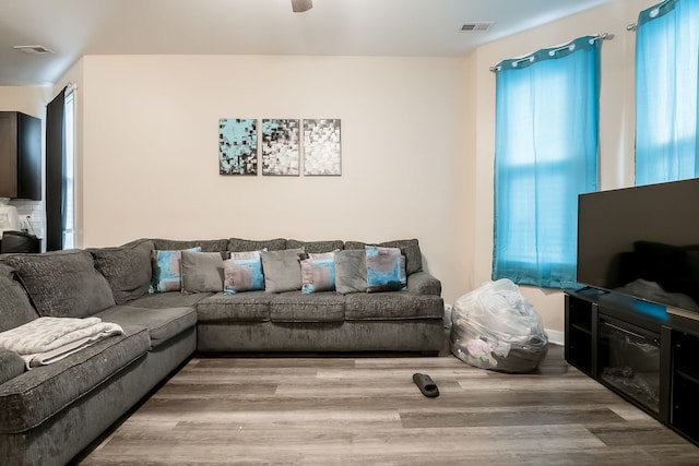 9841 S Ewing Ave, Chicago, IL 60617 - living room featuring wood finished floors and ceiling fan
