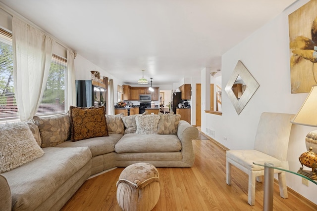 4 W Tall Oak Dr, Hainesville, IL 60073 - living room with light wood finished floors