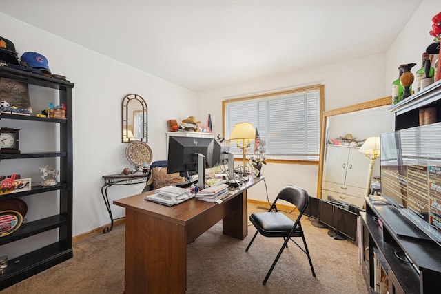 4 W Tall Oak Dr, Hainesville, IL 60073 - office featuring carpet floors and baseboards