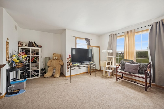 4 W Tall Oak Dr, Hainesville, IL 60073 - living room with carpet flooring and baseboards