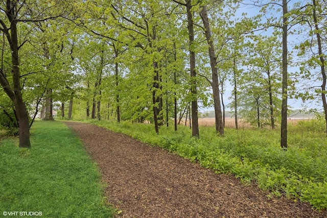 4 W Tall Oak Dr, Hainesville, IL 60073 - view of community