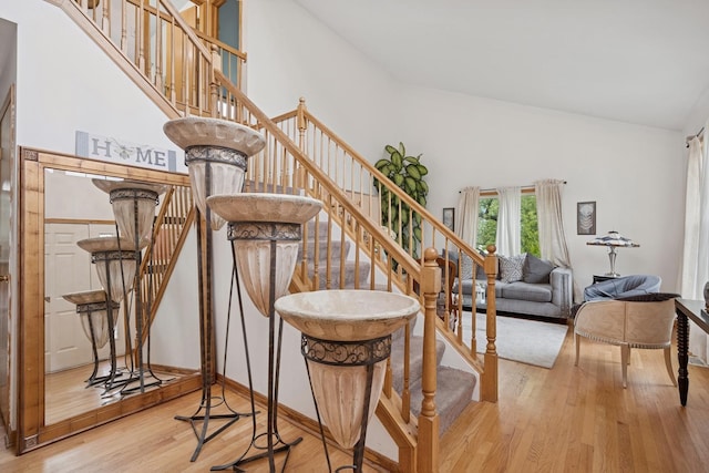 4 W Tall Oak Dr, Hainesville, IL 60073 - stairway featuring wood finished floors, a towering ceiling, and baseboards