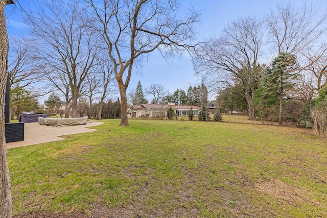 view of green lawn with a patio area
