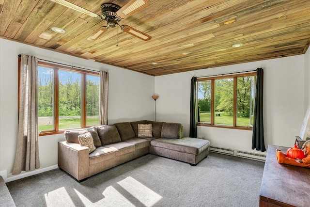 30552 Peaceful Ct, Potomac, IL 61865 - photo 18