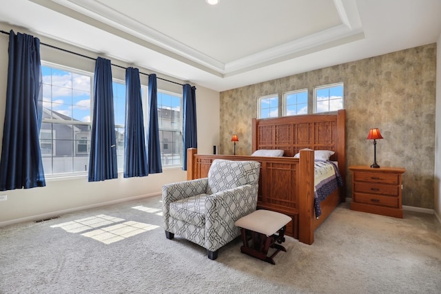 carpeted bedroom featuring a raised ceiling and baseboards