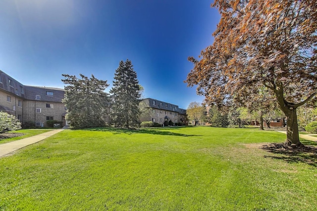 116 Steeple Dr Unit E, Buffalo Grove, IL 60089 - view of green lawn