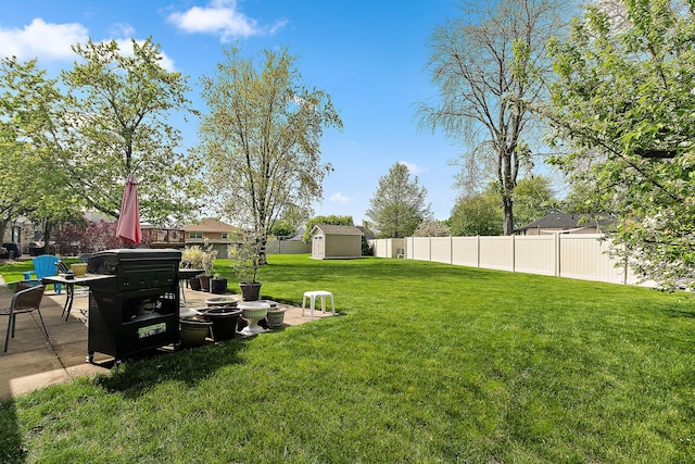 8120 Cherokee Trl, Tinley Park, IL 60477 - view of yard with a storage unit, a patio area, and an outbuilding