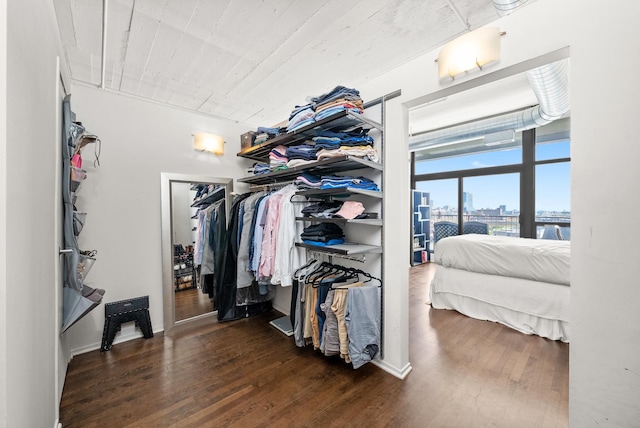 walk in closet featuring wood finished floors