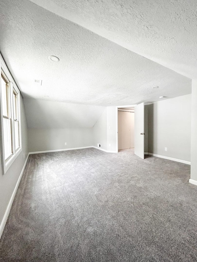 384 N Grand Ave, Bradley, IL 60915 - spare room featuring a textured ceiling, carpet, baseboards, and lofted ceiling